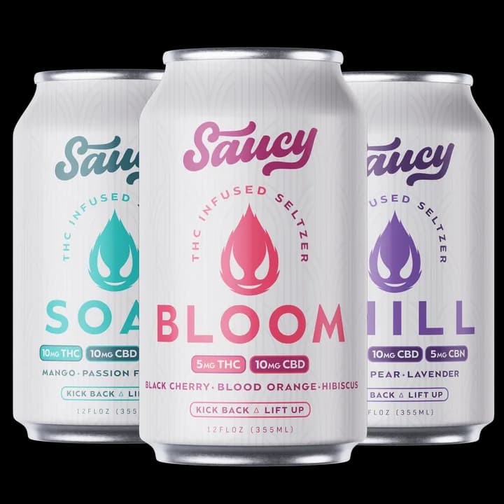 Saucy Seltzer variety pack from the official brand storefront